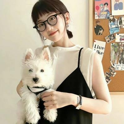 拯救林肯